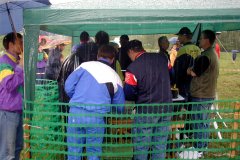 OLYMPUS DIGITAL CAMERA