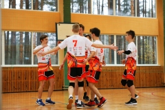 võrk-33
