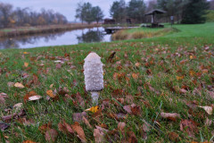 1_DSCF1079