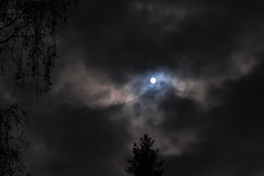 DSCF1060
